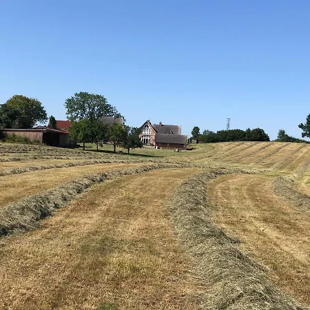 Reethaus Hoheleuchte Romnitz