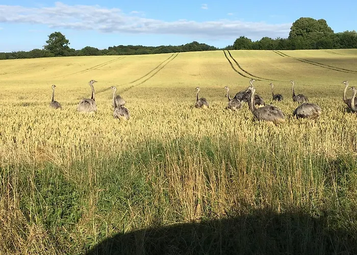 Feriehus Reethaus Hoheleuchte