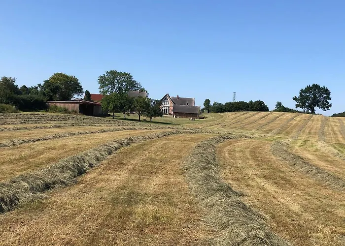 Reethaus Hoheleuchte Römnitz